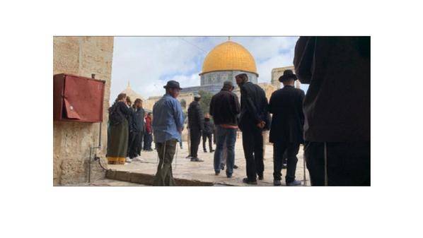 تحضيرات ونقاشات لاقتحام الأقصى وتقديم «قربان الفصح»