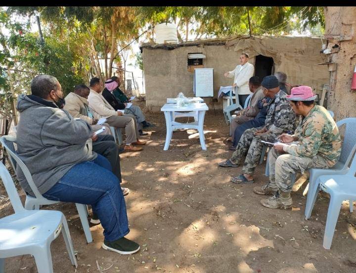 البحوث الزراعية ينفذ مدارس حقلية لمحصول البندورة