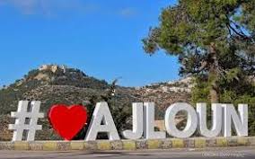 مبادرة توعوية للحد من حوادث السير في عجلون