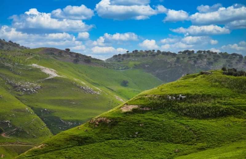 انخفاض ملموس على درجات الحرارة ليلة الجمعة