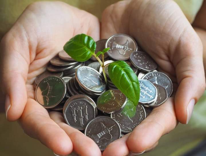 ما حكم إخراج زكاة المال للإخوة؟