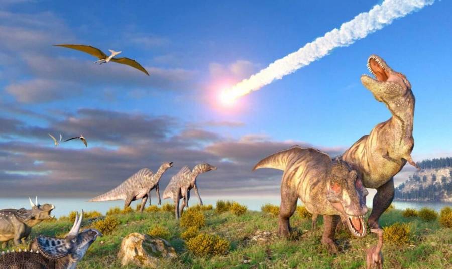 الديناصورات اختفت من الأرض بسبب سقوط كويكب.. تفاصيل
