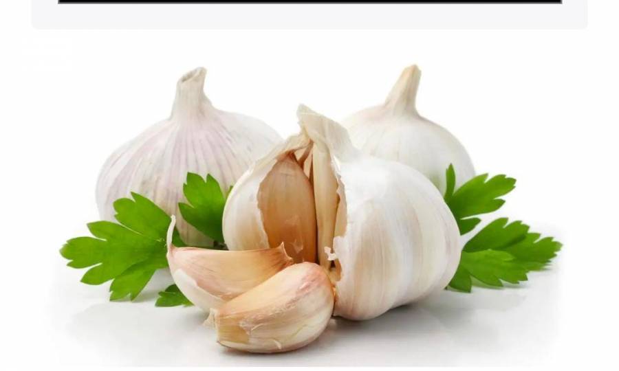 سعدي أبو حماد  لا صحة للفيديو المتداول مؤخراً فيما يخُص مادة الثوم في سوق الخضار المركزي