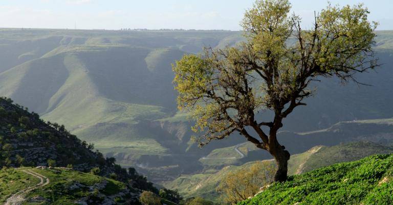 تعرف على مستجدات الحالة الجوية اليوم الأحد