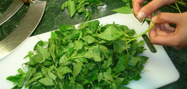 جنون الأسعار يطال “الملوخية الفرط”