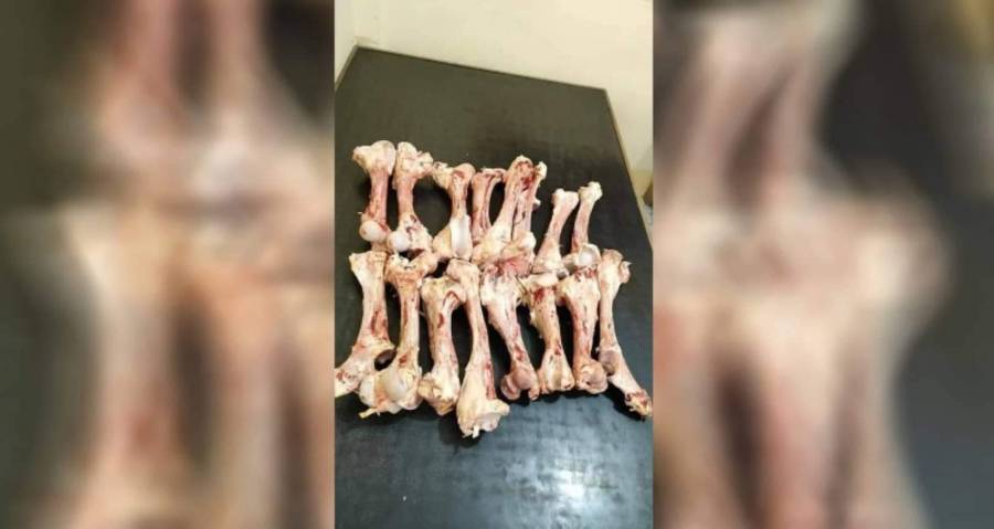 صور توزيع العظام على الفقراء.... تثير الجدل على مواقع التواصل الاجتماعي في مصر