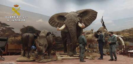 جريمة بحق الحيوانات في اوروبا .. ضبط اكبر عملية تحنيط