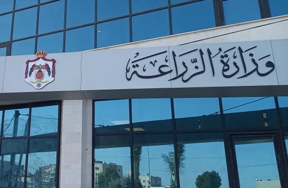 إدارية النواب تطالب بتثبيت الأطباء البيطريين العاملين بوزارة الزراعة