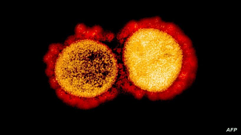 الصحة العالمية تتعقب سلالتين شقيقتين لأوميكرون