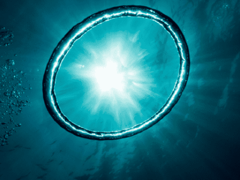 اكتشاف آلاف الفيروسات الجديدة في المحيط!