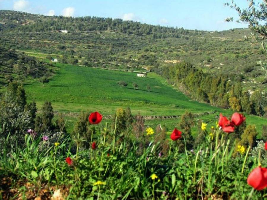 أجواء ربيعية مُعتدلة الخميس