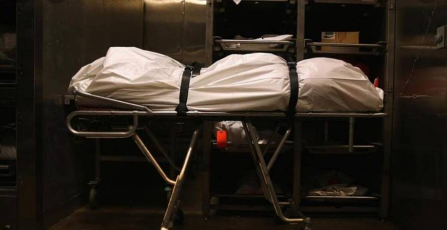 مصرية تروي تجربتها داخل ثلاجة الموتي