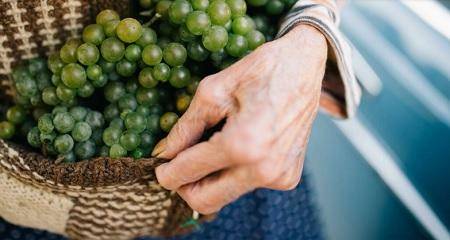 باحثون ينجحون في تجديد جلد امرأة خمسينية