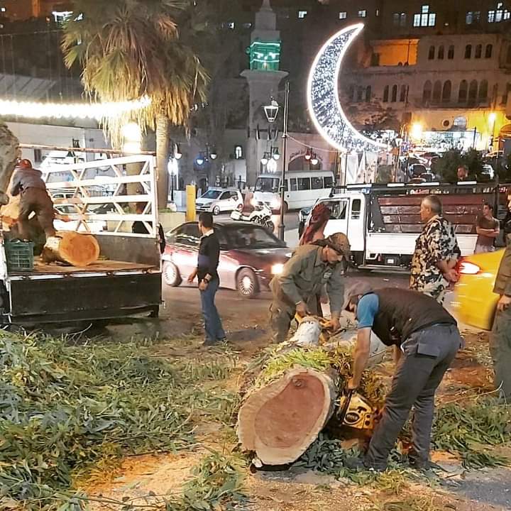 بلدية السلط تزيل أشجار تشكل خطورة وسط مدينة السلط
