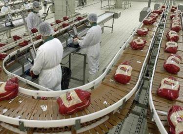 مطلوب عمال بمصنع مواد غذائية