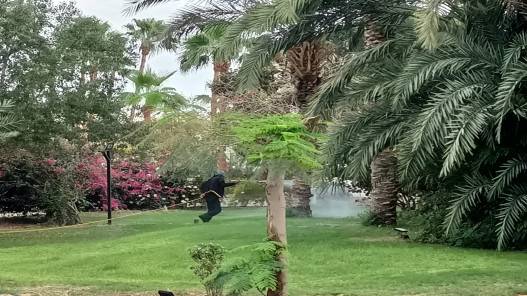 وزير الزراعة يتفقد حملة مكافحة الذباب المنزلي في وادي الأردن والمغطس