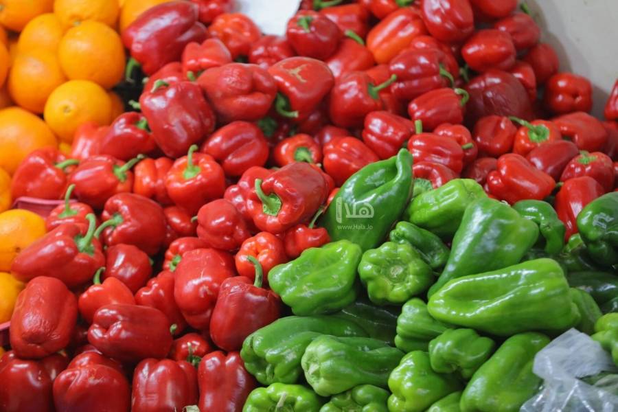 3973 طن خضار وفواكه ترد للسوق المركزي السبت