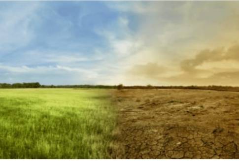 وزارة البيئة..تشارك  الاحتفال باليوم العالمي للأرض 2022 ...