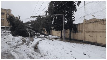 بحث نتائج تقرير انقطاع الكهرباء خلال المنخفض اليوم