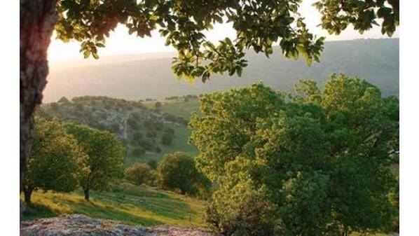 الثلاثاء .. أجواء دافئة في المرتفعات الجبلية والسهول