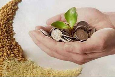 هل يجوز تأخير زكاة الفطر عن وقتها وهل يصح الصيام إذا لم يتم إخراجها ؟