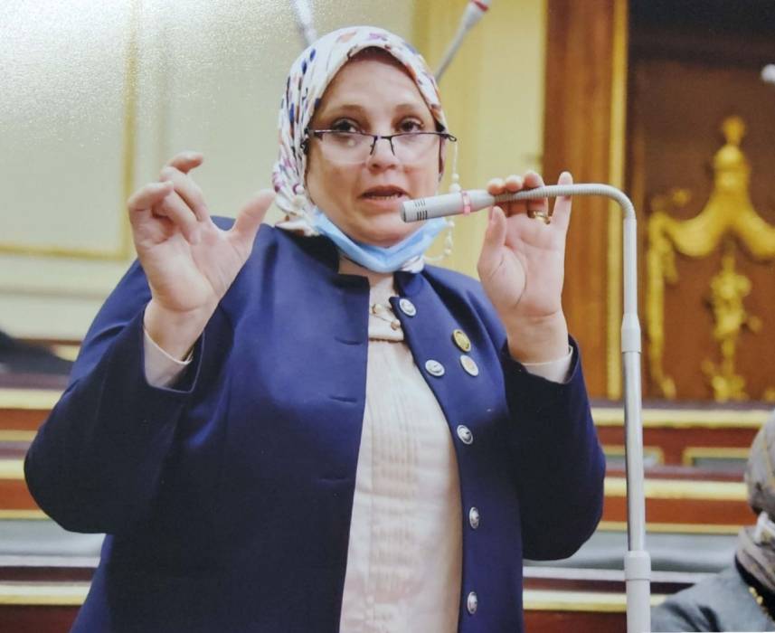 نائبة الشعب الجمهورى:   قرارات على مائدة أفطار الرئيس إهمها المواطن والوطن!