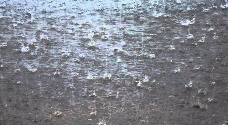 زخات من الأمطار في أجزاء من جنوب وشرق المملكة