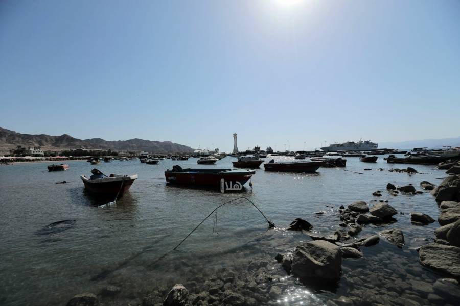 السلمان: إلغاء إلزامية تعقيم السفن في العقبة