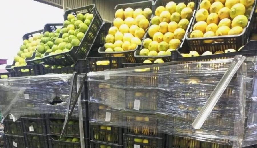 انخفاض أسعار الليمون وارتفاع كميات الخضار الواردة للسوق المركزي