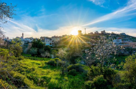 السبت .. أجواء ربيعية لطيفة في أغلب المناطق