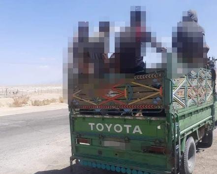 ضبط دينا تحمل 49 راكبا في الصندوق الخلفي