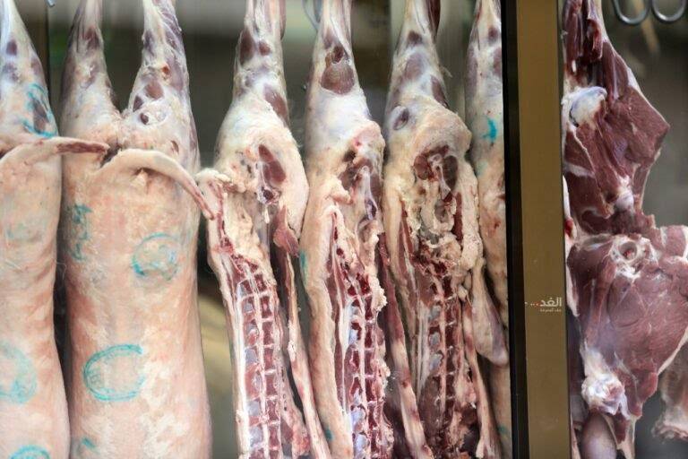 نقص بكميات “الخروف الكامل” بسبب إجازة عيد الفطر