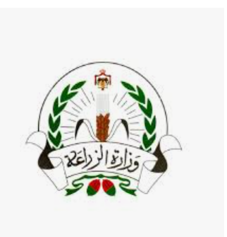 بدء استقبال طلبات القروض لمزارعي الخضار وتمكين المرأة الريفية