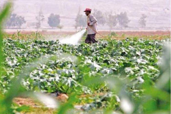 افتاء توضح حكم إقراض المزارعين بشرط تسويق إنتاجهم