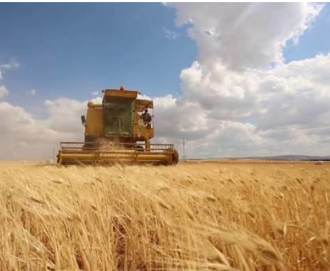 تواضع أداء الأردن بمؤشر الأمن الغذائي