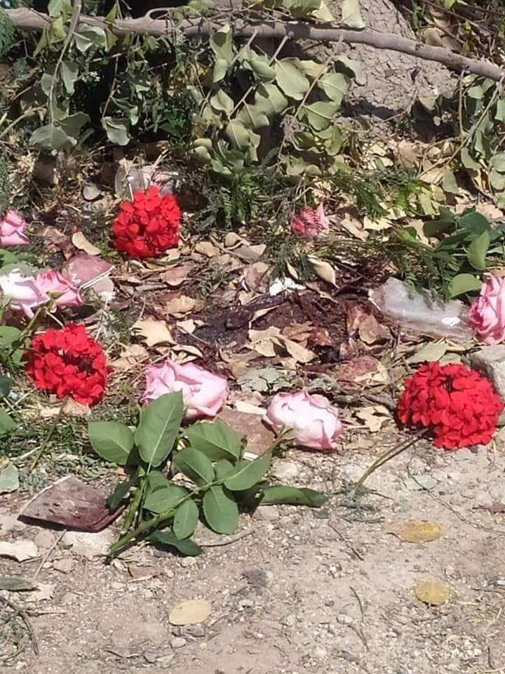 أكاديميون أردنيون ينعون طالبتهم الشهيدة شيرين أبو عاقلة