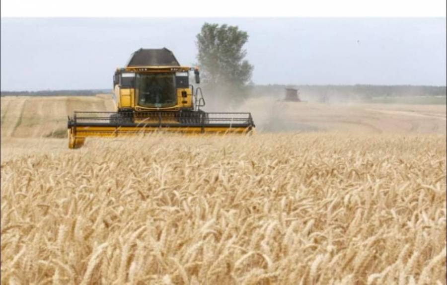 أوكرانيا نطالب روسيا بتوقف عن  سرقة الحبوب أثناء الحرب...