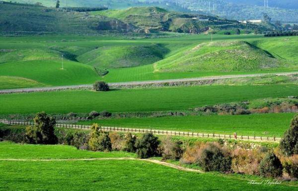 43.5 ْ .. الباقورة تسجل أعلى درجة حرار في الأردن السبت