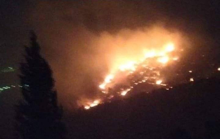 السيطرة على حريق كبير امتد إلى 1200 دونم بمحمية غابات اليرموك