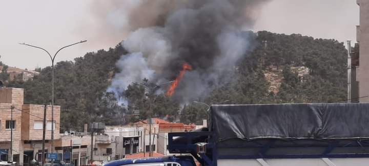 نشوب حريق في غابات ناعور