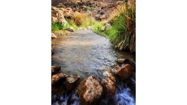 محمية ضانا تتخذ إجراءات عدة للمحافظة على مسار الطيور المهاجرة