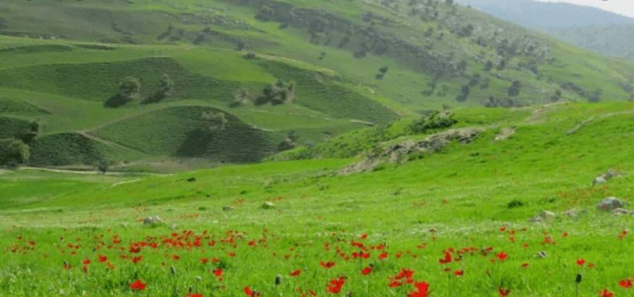 أجواء معتدلة في معظم المناطق اليوم ودافئة الى حارة حتى الخميس