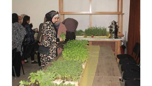 اربد: توزيع الفي شتلة على سيدات لتشجيعهن على اقامة مشاريع زراعية اقتصادية
