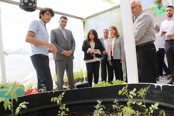 ماذا قال حنيفات عن مشاريع زراعة الأسطح؟