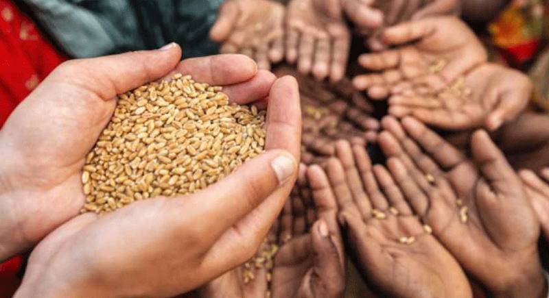 30 مليار دولار للتصدي لأزمة الغذاء بالعالم