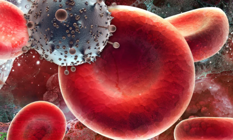 إصابات بفيروس قاتل… و”الصحة العالمية” تصدر تحذيرات