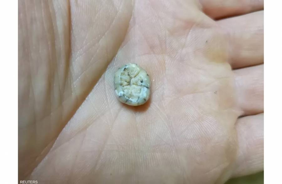 «ضرس طفلة» عمره 130 ألف سنة يبشر بحل «لغز التطور البشري»