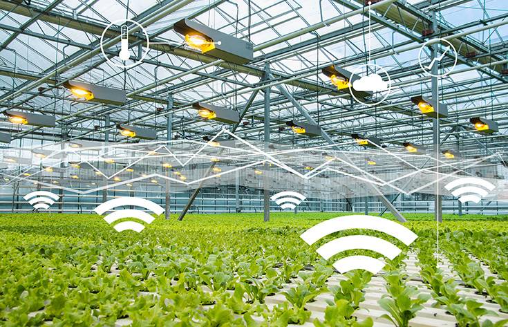 مؤتة: اختتام ورشة تدريبية بعنوان الزراعة الذكية مناخيا