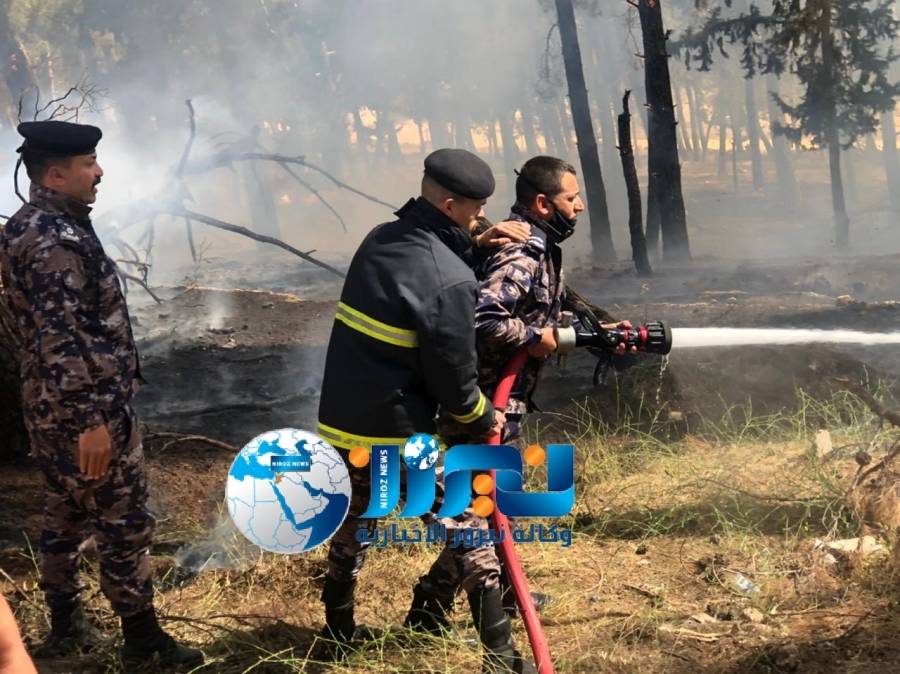 عجلون: بيئيون يطالبون بإجراءات مشددة للحد من حرائق الغابات