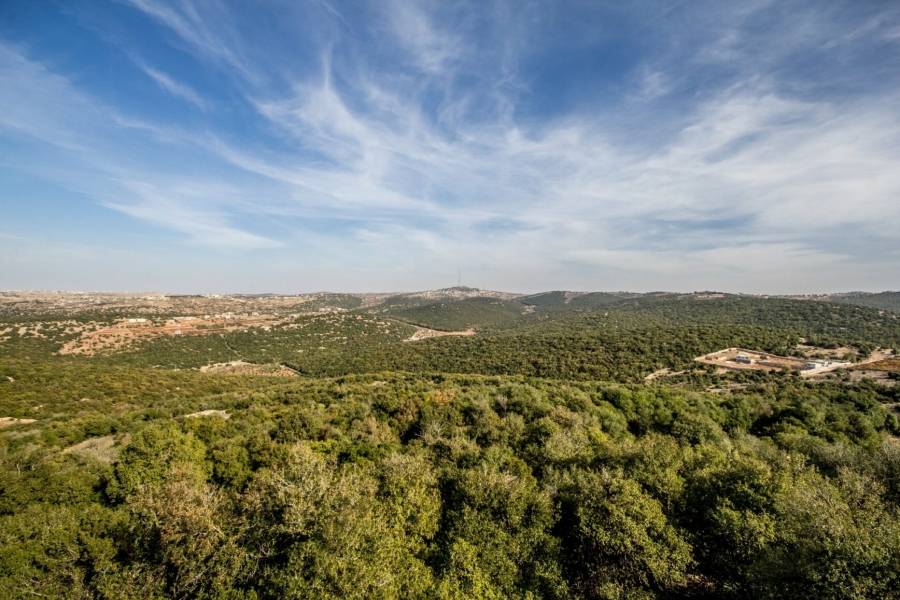 انطلاق منتدى الشباب العالمي للأرض في عجلون